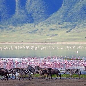 Fundraising Page: Rwas, Siseng, and Hashila Dareng